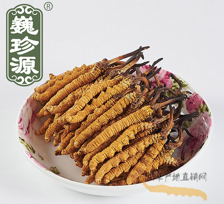 冬蟲(chóng)夏草是蟲(chóng)還是草,冬蟲(chóng)夏草是植物還是動(dòng)物蟲(chóng)子,冬蟲(chóng)夏草與冬蟲(chóng)草的區(qū)別,蟲(chóng)草與冬蟲(chóng)夏草有區(qū)別什么區(qū)別